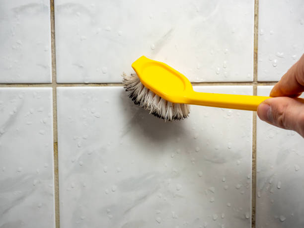 Best Mold Remediation Experts  in South Alamo, TX