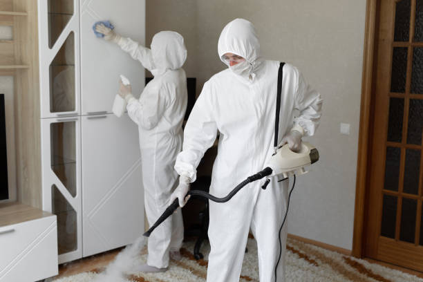 Best Toxic Mold Removal  in South Alamo, TX