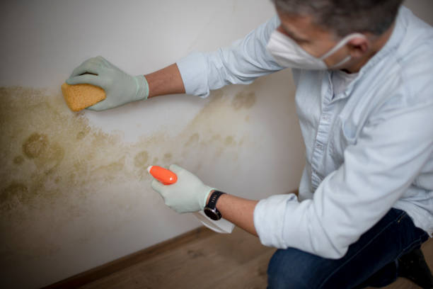 Water Damage Restoration in South Alamo, TX